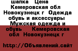 шапка › Цена ­ 750 - Кемеровская обл., Новокузнецк г. Одежда, обувь и аксессуары » Мужская одежда и обувь   . Кемеровская обл.,Новокузнецк г.